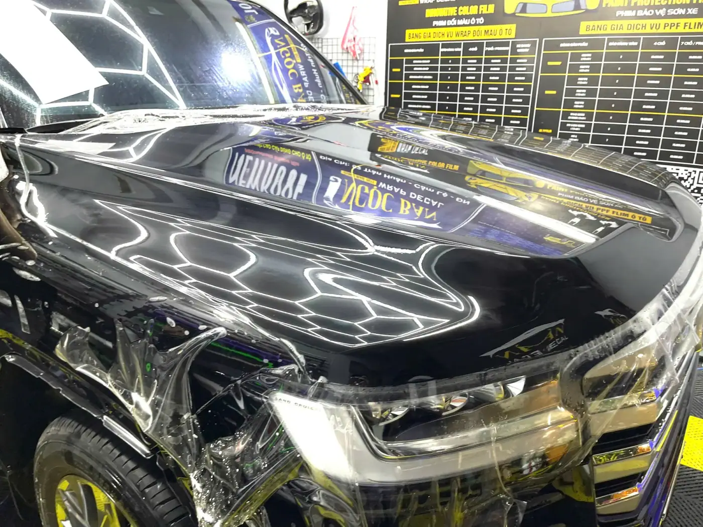 Land Cruiser LC 300- PPF Gloss Black
